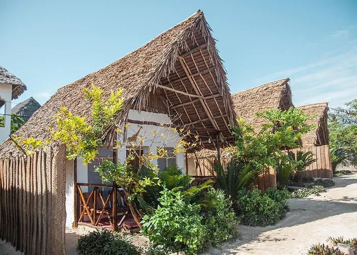 New Jambo Bungalows