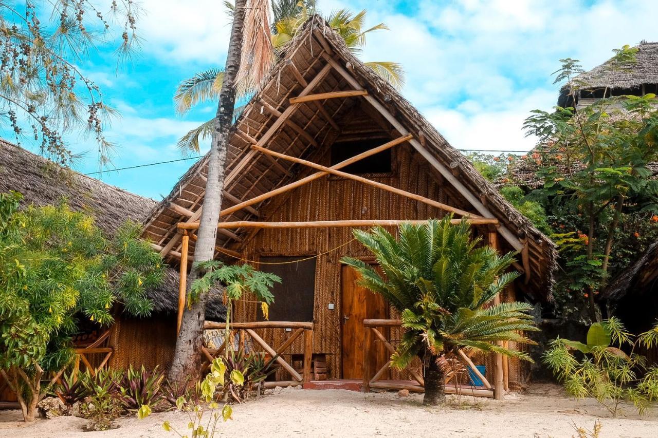 New Jambo Hostal