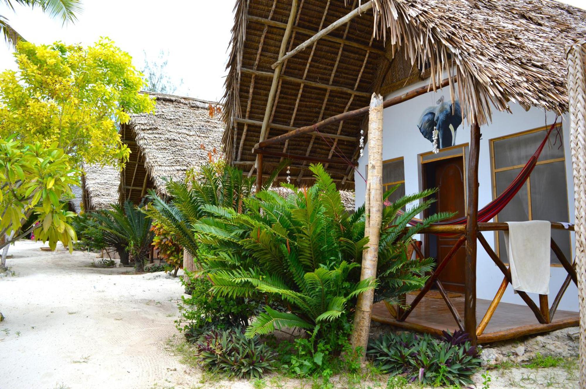 New Jambo Hostal