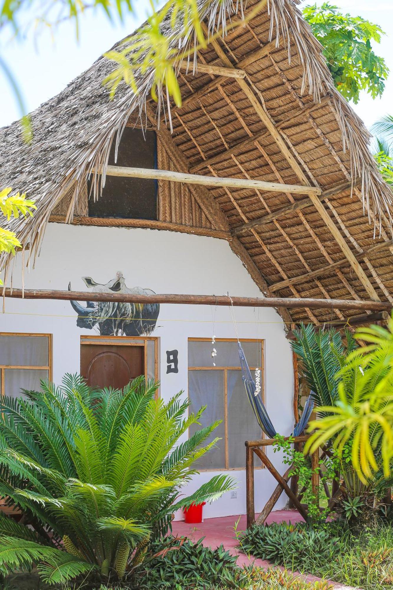 New Jambo Hostal